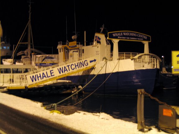 The Whale Watching Centre is located by the same doc as the whale boats