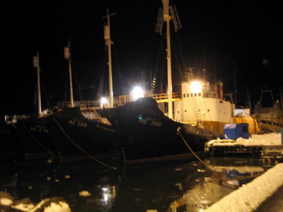 The Whale boats in Reykjavík harbour